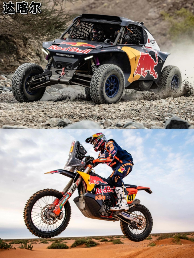 威廉姆斯力克红牛车队，塞恩斯关键制胜的简单介绍