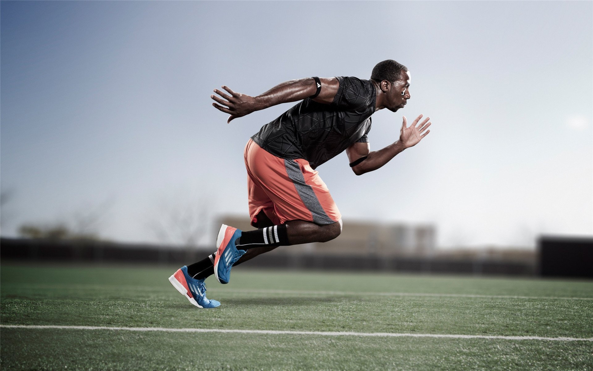 球场之外的季后赛，伊朗与日本的亚洲篮坛鏖战